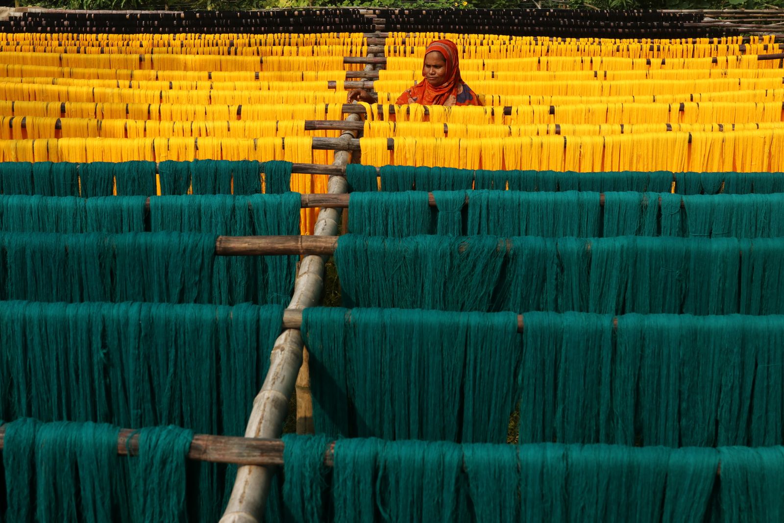 Freshly dyed yarn in yellow and green drying on racks in Narayanganj, Bangladesh